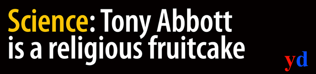 fruitcake